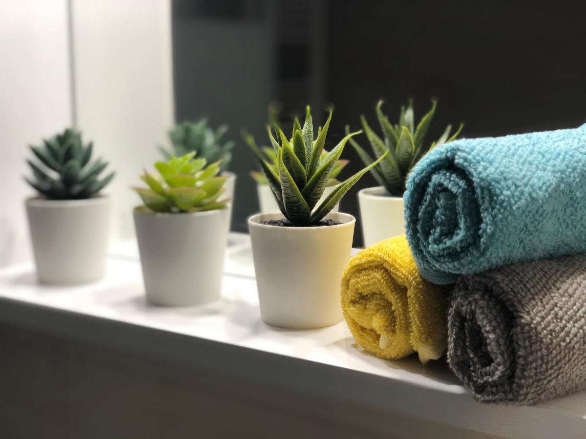 Cozy Studio Next To Acropolis & Plaka アテネ エクステリア 写真